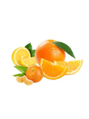 Pianta di Arancio