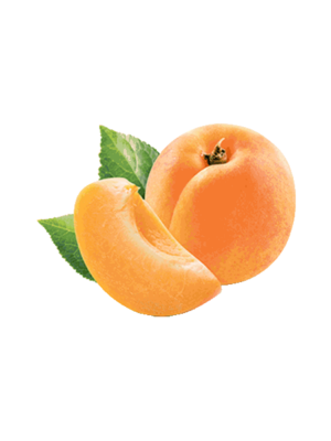 Piante di Albicocco