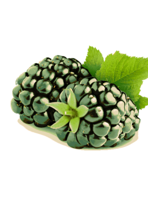 Piante di Albicocco