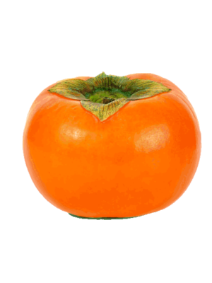 Piante di Albicocco