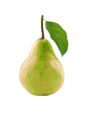 Piante di Albicocco