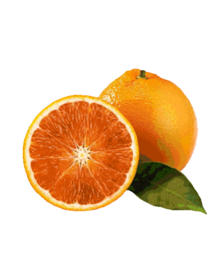 Pianta di Arancio