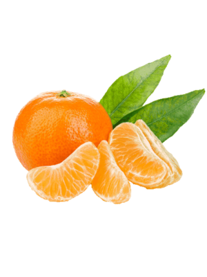 Pianta di Arancio