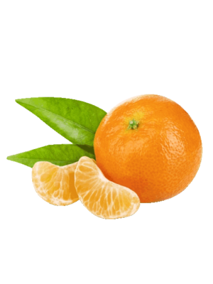 Pianta di Arancio